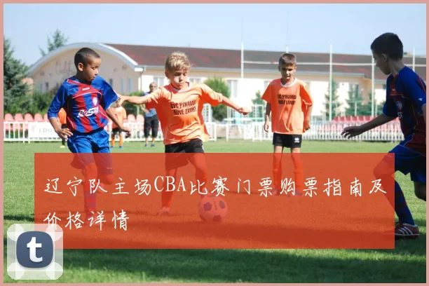 辽宁队主场CBA比赛门票购票指南及价格详情