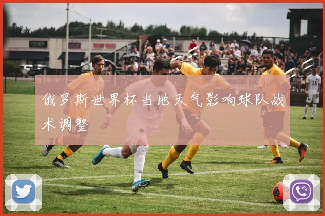 俄罗斯世界杯当地天气影响球队战术调整