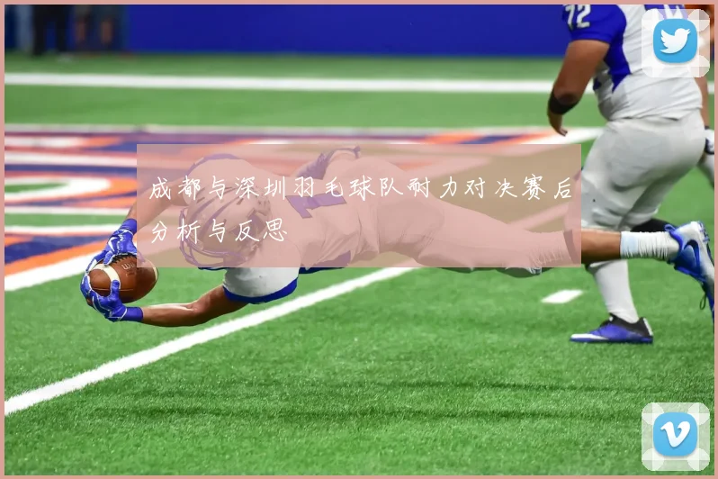 成都与深圳羽毛球队耐力对决赛后分析与反思